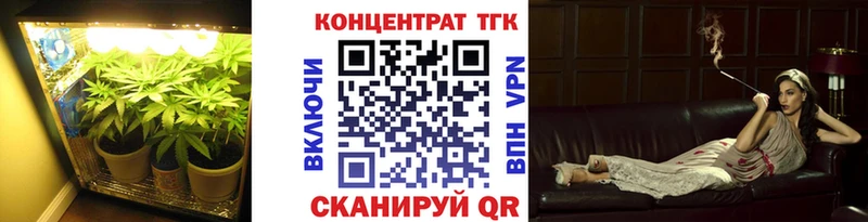 OMG зеркало  Калининград  ТГК концентрат 