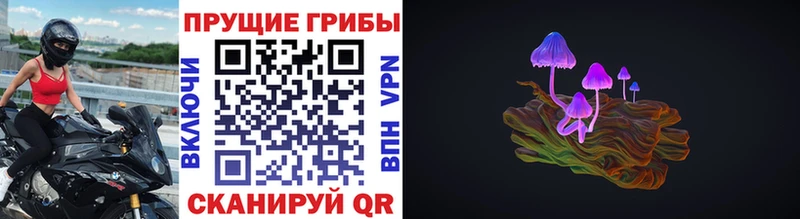 Псилоцибиновые грибы Psilocybe  где купить наркоту  Калининград 